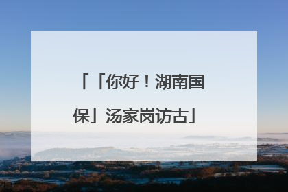 「你好！湖南国保」汤家岗访古