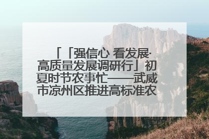 「强信心 看发展·高质量发展调研行」初夏时节农事忙——武威市凉州区推进高标准农田建设见闻