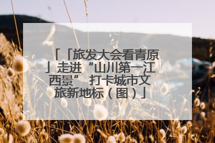 「旅发大会看青原」走进“山川第一江西景” 打卡城市文旅新地标（图）