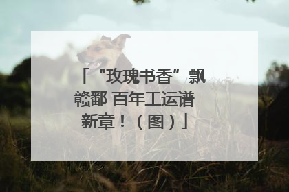 “玫瑰书香”飘赣鄱 百年工运谱新章！（图）
