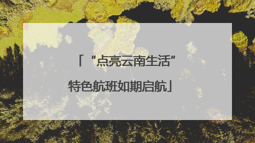 “点亮云南生活”特色航班如期启航
