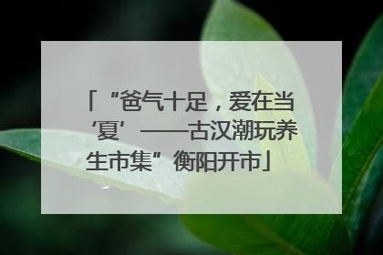 “爸气十足，爱在当‘夏’——古汉潮玩养生市集”衡阳开市