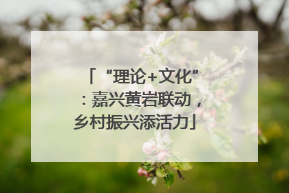 “理论+文化”：嘉兴黄岩联动，乡村振兴添活力