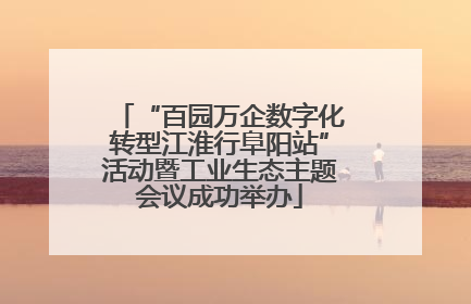 “百园万企数字化转型江淮行阜阳站”活动暨工业生态主题会议成功举办