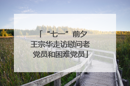“七一”前夕 王宗华走访慰问老党员和困难党员