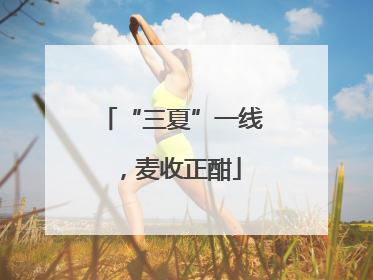 “三夏”一线，麦收正酣