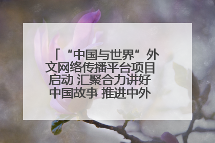 “中国与世界”外文网络传播平台项目启动 汇聚合力讲好中国故事 推进中外文明交流互鉴