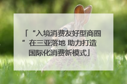 “入境消费友好型商圈”在三亚落地 助力打造国际化消费新模式