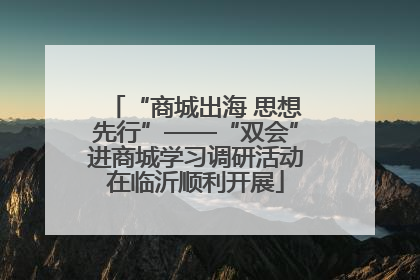 “商城出海 思想先行”——“双会”进商城学习调研活动在临沂顺利开展