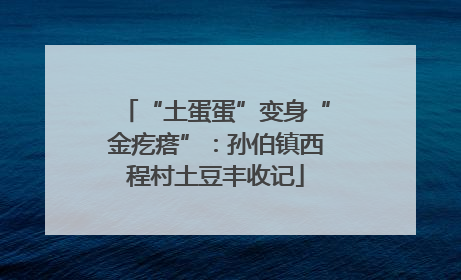 “土蛋蛋”变身“金疙瘩”：孙伯镇西程村土豆丰收记