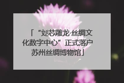 “彣芯雕龙·丝绸文化数字中心”正式落户苏州丝绸博物馆
