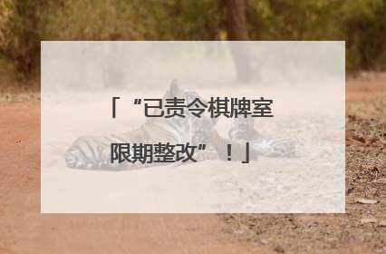 “已责令棋牌室限期整改”！