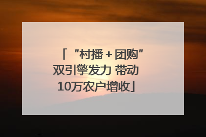 “村播＋团购”双引擎发力 带动10万农户增收