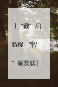 “数”启新程 “智”领发展
