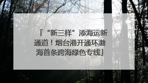 “新三样”添海运新通道！烟台港开通环渤海首条跨海绿色专线