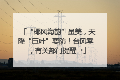 “椰风海韵”虽美，天降“巨叶”要防！台风季，有关部门提醒→