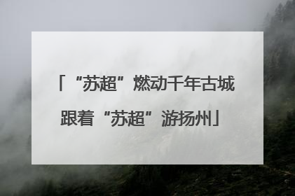 “苏超”燃动千年古城 跟着“苏超”游扬州