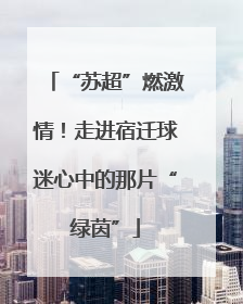 “苏超”燃激情！走进宿迁球迷心中的那片“绿茵”