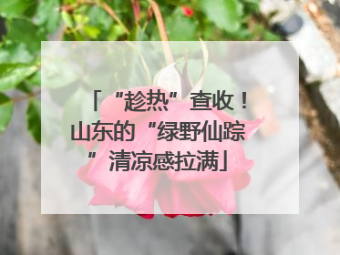 “趁热”查收！山东的“绿野仙踪”清凉感拉满