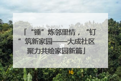 “锤”炼邻里情，“钉”筑新家园——大成社区聚力共绘家园新篇