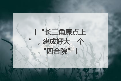 “长三角原点上”，建成好大一个“四合院”