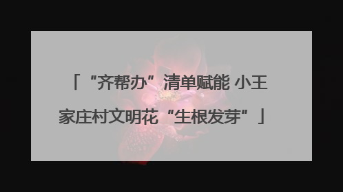 “齐帮办”清单赋能 小王家庄村文明花“生根发芽”
