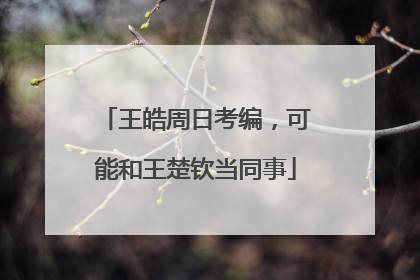 王皓周日考编，可能和王楚钦当同事