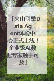 火山引擎Data Agent体验中心正式上线！企业级AI数据专家触手可及