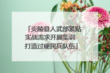 炎陵县人武部紧贴实战需求开展集训 打造过硬民兵队伍