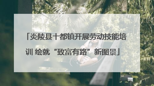 炎陵县十都镇开展劳动技能培训 绘就“致富有路”新图景