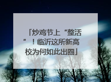 炒鸡节上“整活”！临沂这所新高校为何如此出圈