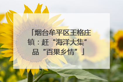烟台牟平区王格庄镇：赶“海洋大集” 品“百果乡情”