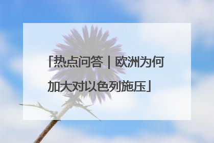 热点问答｜欧洲为何加大对以色列施压