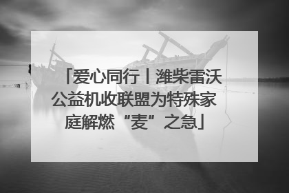 爱心同行丨潍柴雷沃公益机收联盟为特殊家庭解燃“麦”之急