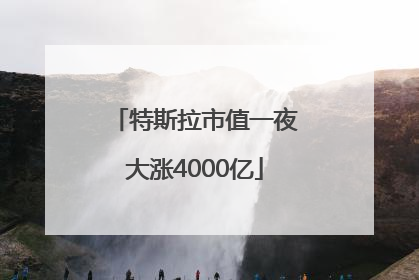 特斯拉市值一夜大涨4000亿