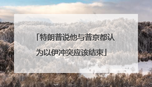 特朗普说他与普京都认为以伊冲突应该结束