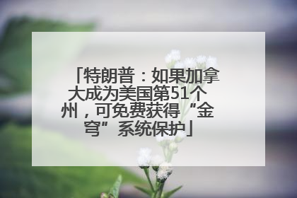 特朗普：如果加拿大成为美国第51个州，可免费获得“金穹”系统保护