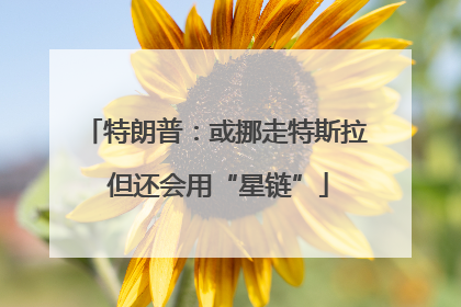 特朗普：或挪走特斯拉 但还会用“星链”