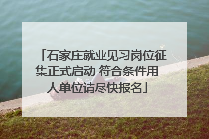 石家庄就业见习岗位征集正式启动 符合条件用人单位请尽快报名