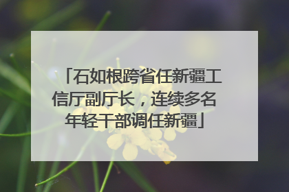 石如根跨省任新疆工信厅副厅长，连续多名年轻干部调任新疆