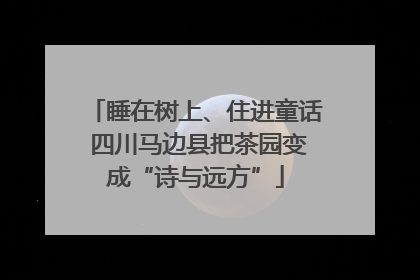 睡在树上、住进童话 四川马边县把茶园变成“诗与远方”