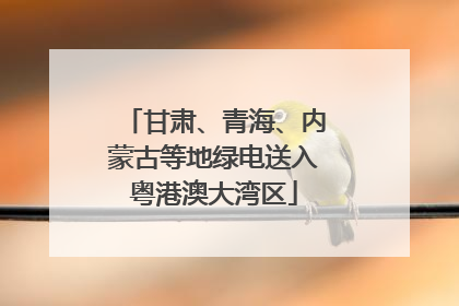 甘肃、青海、内蒙古等地绿电送入粤港澳大湾区