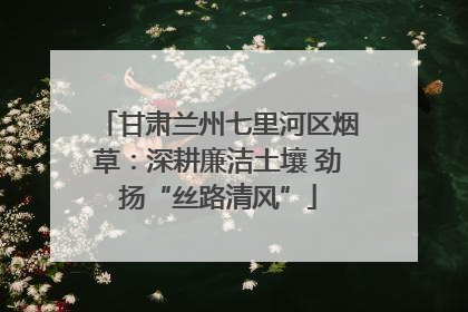 甘肃兰州七里河区烟草：深耕廉洁土壤 劲扬“丝路清风”