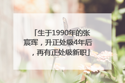 生于1990年的张宸珲，升正处级4年后，再有正处级新职