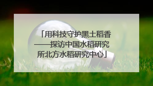 用科技守护黑土稻香——探访中国水稻研究所北方水稻研究中心