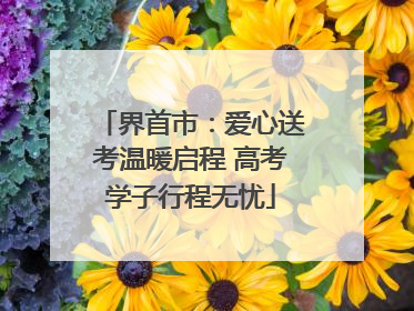 界首市：爱心送考温暖启程 高考学子行程无忧
