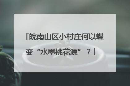 皖南山区小村庄何以蝶变“水墨桃花源”？