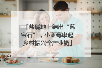 盐碱地上结出“蓝宝石”，小蓝莓串起乡村振兴全产业链