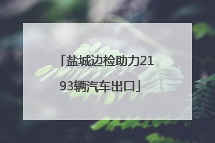 盐城边检助力2193辆汽车出口