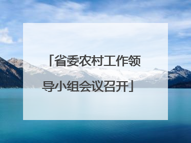 省委农村工作领导小组会议召开
